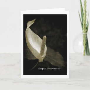 Carte Condoléances les plus sincères