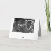 Carte Condoléances sincères ! Avec papillon (Dos)