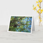 Carte Cône de conifère sur pin (Fleur jaune)