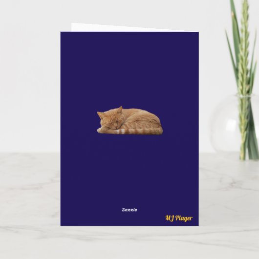Carte Cône Tabby orange (Dos)