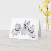 Carte Conférence Westie (Fleur jaune)