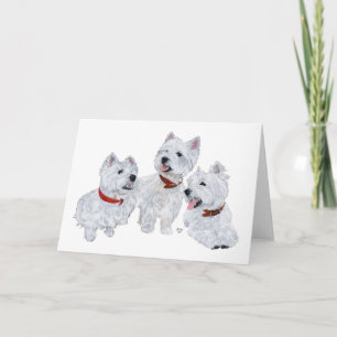 Carte Conférence Westie
