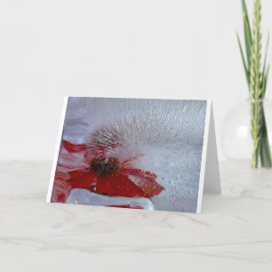 Carte Conflower in Ice,