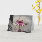 Carte Conflowers (Fleur jaune)