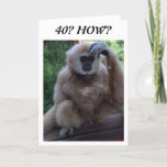 Carte CONFUSED AT HOW YOU LOOK on 40th BIRTHDAY CARD<br><div class="desc">CONFUSED MONKEY-HOW "DO" YOU LOOK SO GOOD AND HAVE A BIRTHDAY,  TOO ? THANKS FOR STOPPING BY ONE OF MY EIGHT STORES!!!!!!!</div>