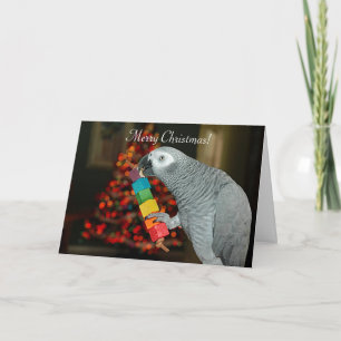 Carte Congo African Grey Parrot Joyeux sapin de Noël