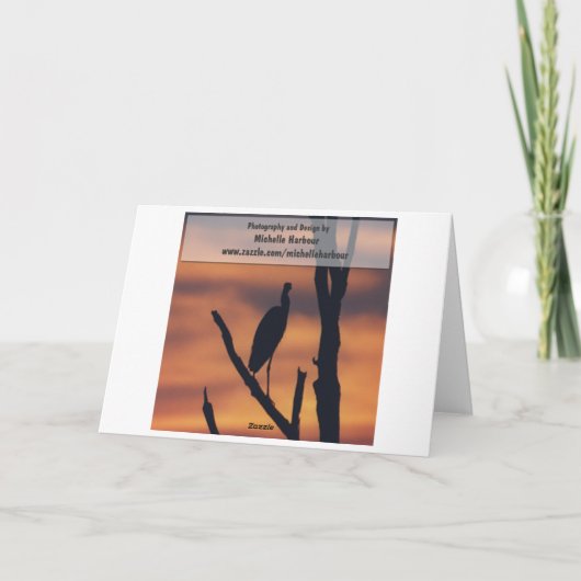 Carte Congratulations (Dos)