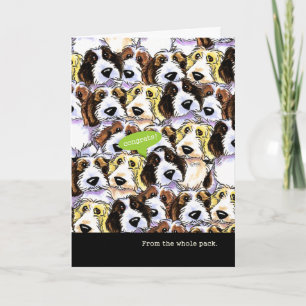 Carte Congratulations from Group Funny PBGV