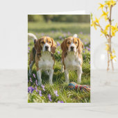 Carte Congratulations on Two New Dogs! Welcome Beagles (Fleur jaune)