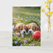 Carte Congratulations on Two New Puppies Welcome Beagles (Fleur jaune)