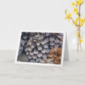 Carte Conifer Cones (Fleur jaune)