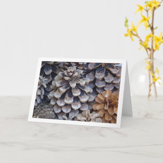 Carte Conifer Cones (Fleur jaune)