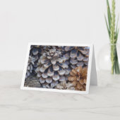 Carte Conifer Cones (Devant)