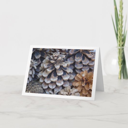 Carte Conifer Cones (Devant)