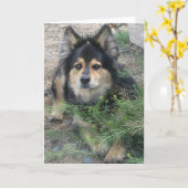 Carte "Conseil" (Fleur jaune)