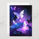 Carte Conseil Arrière - plan avec papillons de nuit (Devant / Derrière)