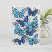 Carte Conseil Composition des papillons blancs et bleus (Debout devant)