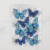 Carte Conseil Composition des White and Blue Butterflies (Devant / Derrière)