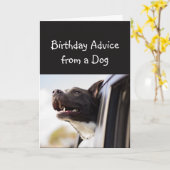 Carte Conseil d'anniversaire d'un chien amusant Humour a (Fleur jaune)