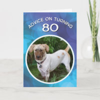 Conseil drôle de chien boueux pour l'âge de 80 ans