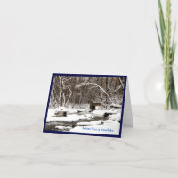 Conseil d'un flocon de neige