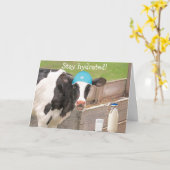 Carte Conseil Médicale Vache Bien (Fleur jaune)