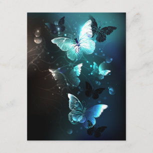 Carte Conseil Papillons de nuit à la menthe