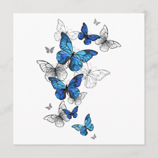 Carte Conseil Papillons volants bleus Morpho (Devant)