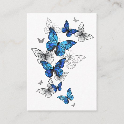 Carte Conseil Papillons volants bleus Morpho (Devant)