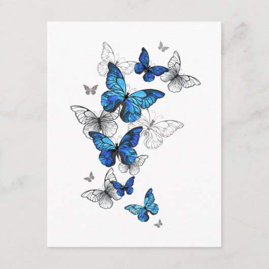 Carte Conseil Papillons volants bleus Morpho (Devant)