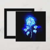 Carte Conseil Rose bleu brûlant (Devant / Derrière)