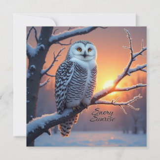 Carte Conseil Snowrise Sunrise Woodland Trust Fairdeal Noël