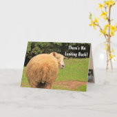 Carte Conseils humoristiques sur les moutons Anniversair (Fleur jaune)