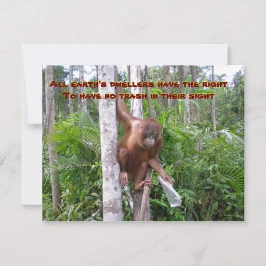 Carte Conservation, pas de pollution plastique (Devant)