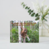 Carte Conservation, pas de pollution plastique (Debout devant)