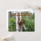 Carte Conservation, pas de pollution plastique (Devant/Arrière en situation)