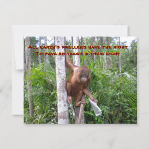 Carte Conservation, pas de pollution plastique