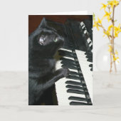 Carte considérant d'organe de chat (Fleur jaune)