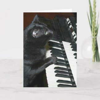 Carte considérant d'organe de chat