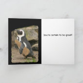 Carte Considérant Violon de pingouin, Bonne chance (Intérieur)