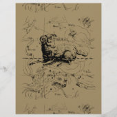 Carte Constellation Aries Hevelius 1690 (Devant)