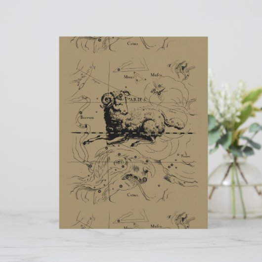 Carte Constellation Aries Hevelius 1690 (Debout devant)