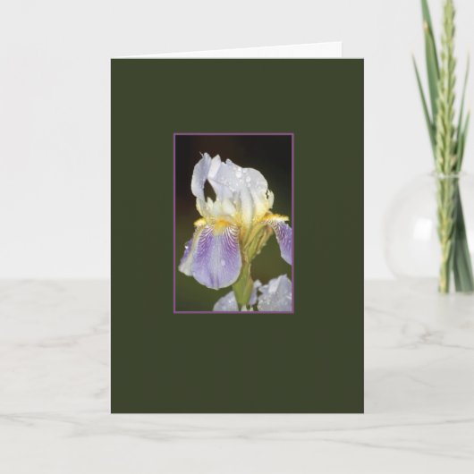 Carte Contact (Devant)