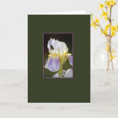 Carte Contact (Fleur jaune)