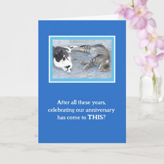 CARTE CONTENTEMENT ANNIVERSAIRE/DEUX CHATS DE SOMMEIL/ H (Orchidée)