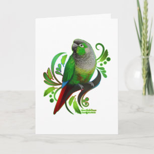 Carte Conure verte à mâcher