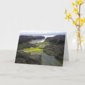 Carte Cook's Chasm, cap Perpetua, Oregon (Fleur jaune)