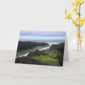 Carte Cook's Chasm, cap Perpetua, Oregon (Fleur jaune)