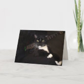 Carte Cool Chat Et Guitare Anniversaire (Devant)