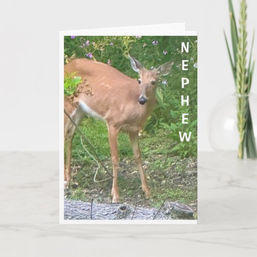 CARTE **COOL CHER** DIT HEUREUX ANNIVERSAIRE NEPHEW (Devant)